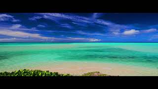 野生の夢　In All My Wildest Dreams - Joe Sample　(1978)