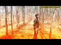 Prit Shajan Tari Kem Kari Bhulay