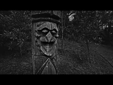 SROKA - ancestral:recall (Official Video)