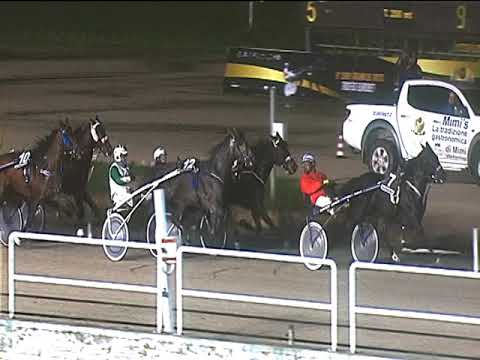 Trotto 02/11/2018 - 6ª corsa