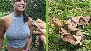 Got too close to copperhead snake!  Then used tongs to catch venomous snake!