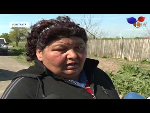 Nereguli la ferma din Dorobanțu - Litoral TV