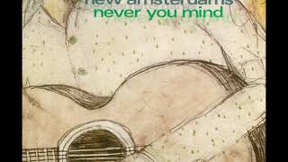 03 •  The New Amsterdams - Every Double Life