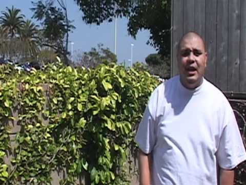 "One Day" By Happy Killmore (High Quality)