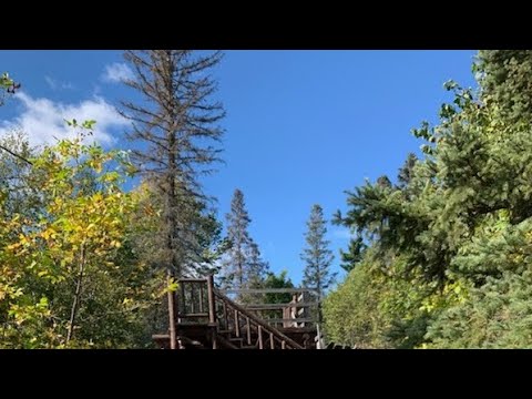 The Gospel of Luke, Chapter 1:26-80 || The Angel Gabriel Visit Mary