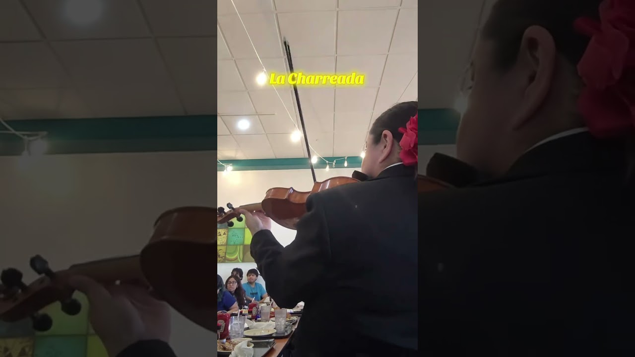Promotional video thumbnail 4 for Mariachi Alma de Jalisco