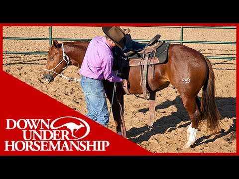 Clinton Anderson: An Overview of Starting a Colt - Downunder Horsemanship