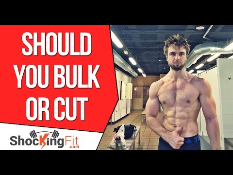 Should You Bulk or Cut First? - Practical Tips Video