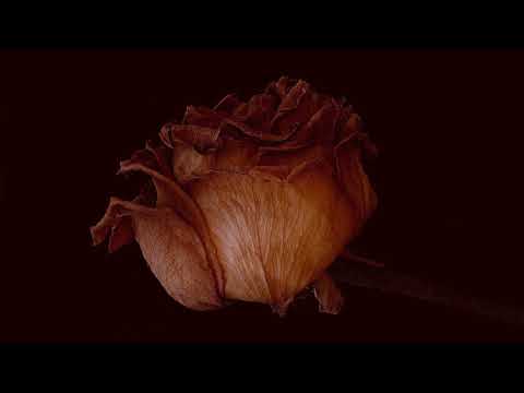 Gustavo Cerati - Alma (Paul Arcane & oniricus Remix)