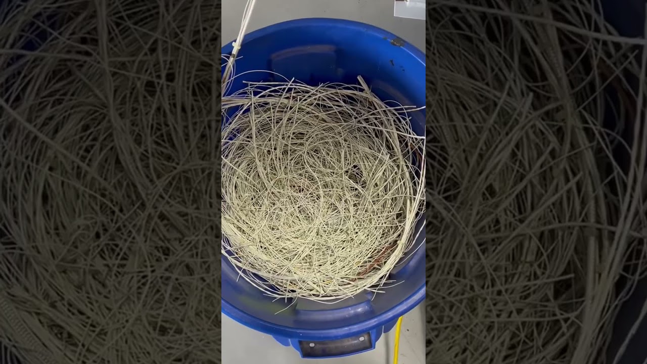 G5000 in 26 Days: Day 9 — Citation 560XL Upgrade Progress