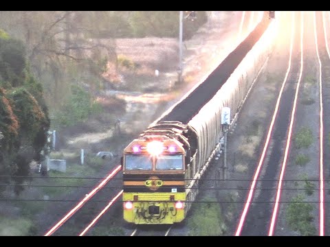 11 TRAINS in 12 Minutes at Beresfield Railway Station.