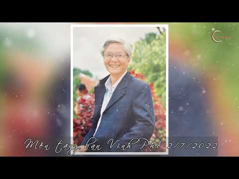 Lang thang phố cũ - Ngọc Quy