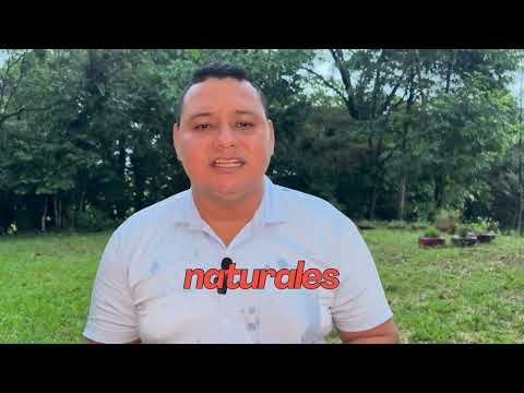 Eco Rutas Morelia – Caquetá | Elevator Pitch
