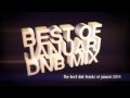 Best of Drum and Bass: January 2014 