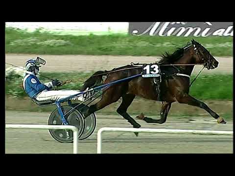 Napoli Trotto 26/11/2021 - 4ª corsa