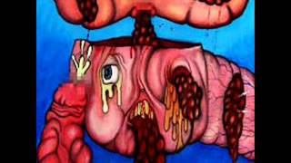 wayfarer hotwater music