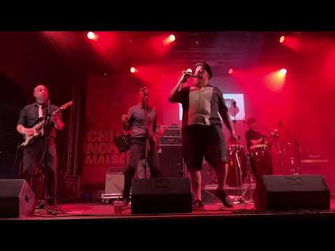 Dr. Ring Ding (feat. Shots in The Dark)- Bad company (live Partirò per Bologna 2023)