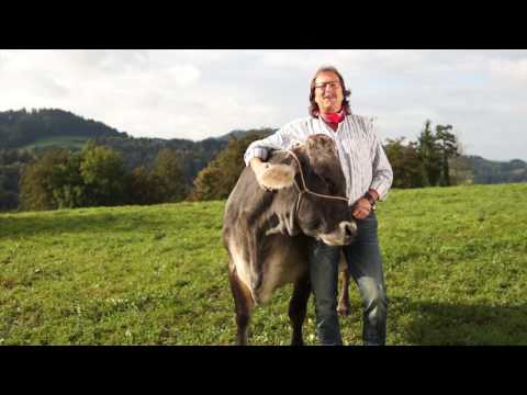 download lagu mp3 mp4 Ueli Bodenmann, download lagu Ueli Bodenmann gratis, unduh video klip Ueli Bodenmann