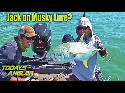 Jack on MUSKY LURE? - Florida Keys Day 6-10