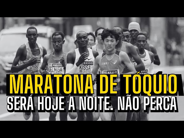 MARATONA boa para ACOMPANHAR HOJE!