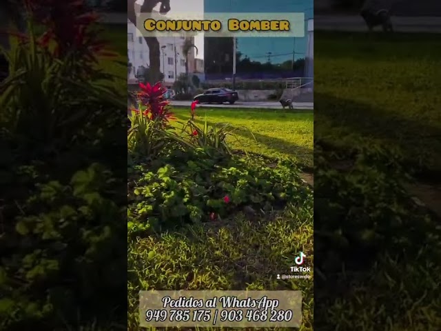 Vídeo relacionado con Harry Potter Chaqueta Bomber Para Ninos, Chaqueta Niño De Hogwarts, Chaquetón Niño De Estilo Béisbol, Verde 9-10 años