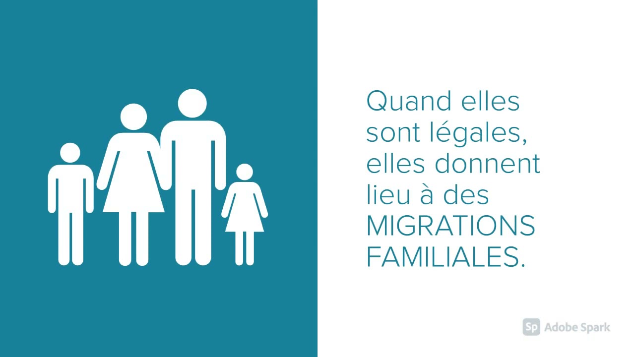 Les migrations internationales