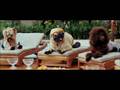 Крошка из Беверли-Хиллз / Beverly Hills Chihuahua 