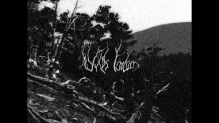 Wilds Forlorn - As Embers Dress the Sky (Agalloch cover)