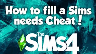 Instantly Fill Sims Needs with This NEW PS4 Cheat!