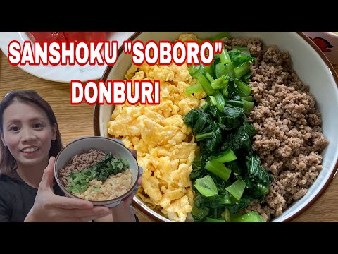 HOW TO MAKE SANSHOKU DON THREE COLOR RICE BOWL JAPAN SOUL FOOD