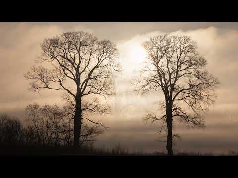 Vytautas Mačernis - Aš kadais šventai tikėjau meile (Lietuvių poezija)