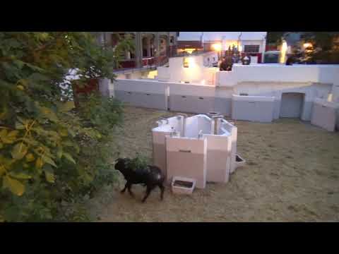 Promoción de la Exposición y Visita guiada a la Plaza de Toros de Pamplona