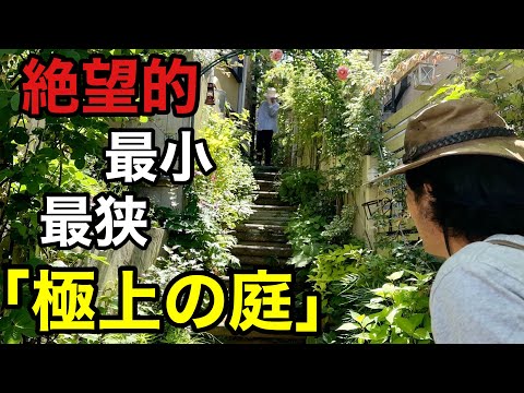 家の境界線ツゲの木私道の敷石噴水の前の庭のデザインのアイデア