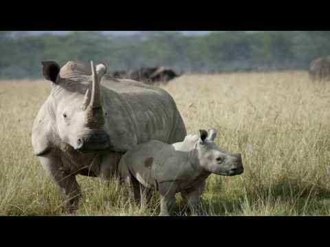 Resumen de noticias 13 mayo 2016