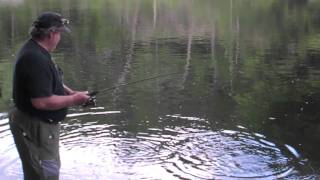preview picture of video 'trout farmington river 6-1-09'
