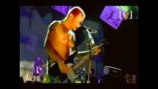 Red Hot Chili Peppers Big Day Out Sydney 2000 - Skinny Sweaty Man