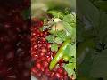 Anaar Ki Chutney | Healthy & Tasty Chutney Recipe | #pomegranate #chutney #healthy#shortsfeed#recipe