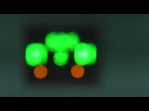 27 КХ 1 тур 5 лига Evans   Grand+