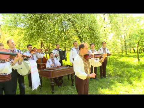 Vitalie Dorin - Hora de la Colibași