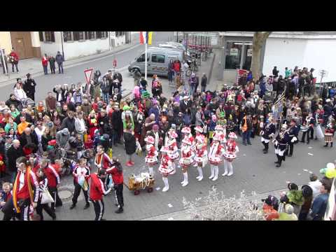 42. Lindwurm durch Ober-Ingelheim am 02.03.2014