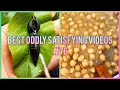 Sesame Coated Spicy Nuggets Candy Lickers 76