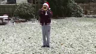 Christmas Cornet