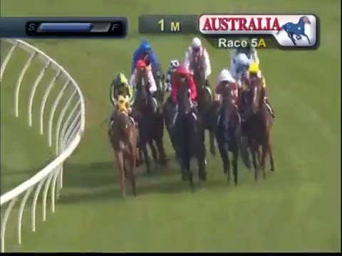 CHAMPAGNE STAKES 2016 - Prized Icon