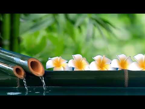 Bamboo Water Fountain - Relaxing Music Background Music Meditation Music Stress Relief