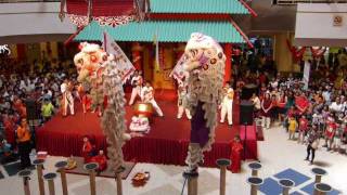 Hoong Tuck Lion Dance Association Teluk Intan, Perak