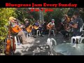 Open Bluegrass Jam