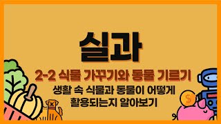 [초등실과] 5학년 1학기 실과 2단원 생활 속 동식물 - 식물과 동물의 활용에 대해 알아보기