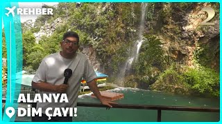 Rehber | Durağımız Dim Çayı