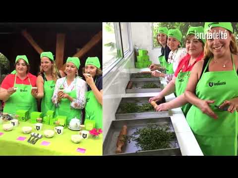 La ruta del té hace 10 años. Oberá. Misiones. Argentina. Marzo 2016.