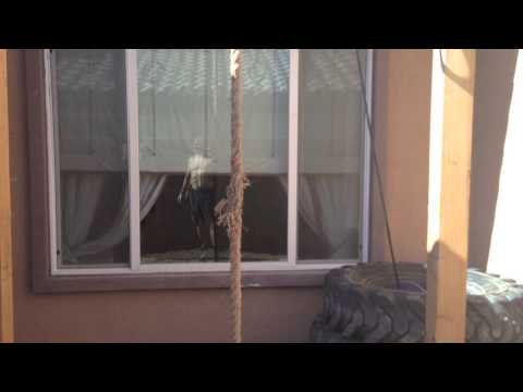 Road to the 2013 Crossfit Games in Las Vegas!